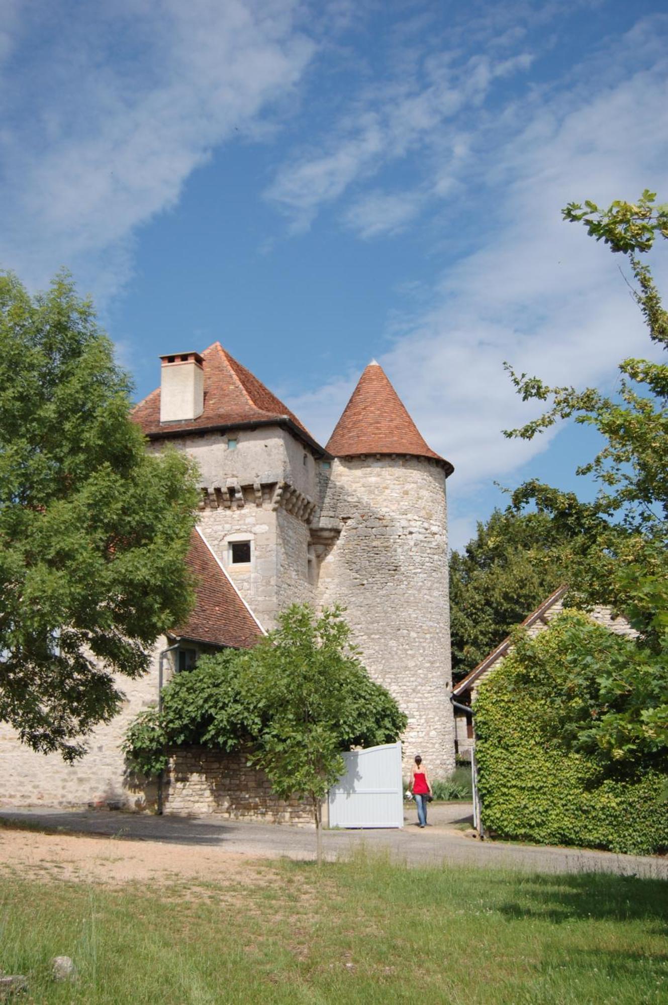 Chateau De Camboulan Ambeyrac Zewnętrze zdjęcie